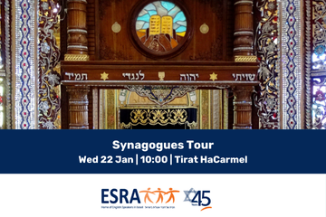 Synagogues tour