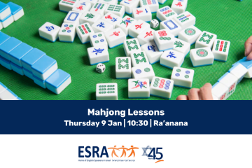 Mahjong Lesson 