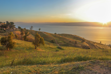 kinneret