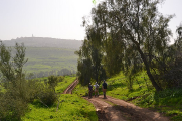 Old website size images (3)